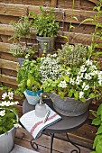 Scented herbs in a zinc tub and hanging flowerpots on a terrace
