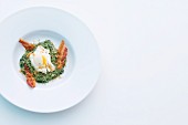 A poached egg on a bed of creamy spinach with crispy bacon