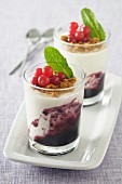 Blueberry panna cotta in glasses