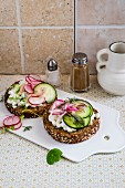 Open sandwiches with cream cheese, radishes and cucumber