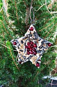Star-shaped pastry cutter filled with bird cake and red berries hung from fir tree in garden