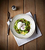 Chicory salad with poached eggs