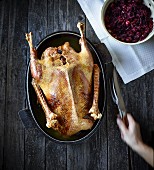 Roast goose with red cabbage (seen from above)