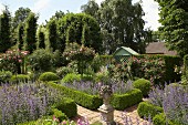 Durch Buchshecken eingefasste Beete und hochstämmige Rosen in Sommergarten