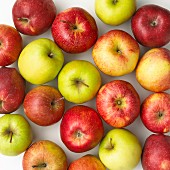 Various apples (full frame)