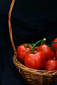 Frische Tomaten in Körbchen vor schwarzem Hintergrund