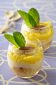 Tiramisu with mango and coconut milk in dessert glasses