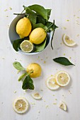 Zitronenstilleben (Aufsicht)