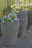 Spring flowers planted in large pebble planters on pebble cobbles