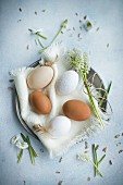 Osternest mit braunen und weißen Eiern auf Stoffserviette und Traubenhyazinthen