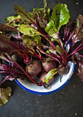 Beetroot with leaves in an enamel bowl