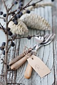 Old cutlery with tag, branch of sloes and pine cones dipped in wax