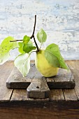 A quince on a twig with leaves on a wooden board