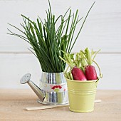 Chives and radishes in small containers