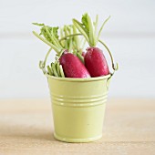 Radishes in a small metal bucket