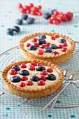 Blueberry and redcurrant tartlets