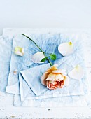 Rose and rose petals lying on blue linen napkin