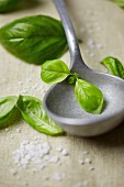 Basil leaves and a ladle