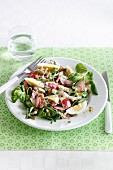 Vegetable salad with mackerel and egg