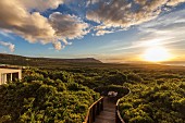 Blick auf Landschaft bei Sonnenuntergang (Grootbos-Lodge, Grootbos Naturreservat, Südafrika)