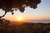Sunset over the Grootbos Nature Reserve (South Africa)