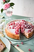 Redcurrant cheesecake with sugar, sliced