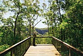 Aussichtspunkt über die Minyon Falls (Australien)