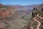 Blick auf Pfad in Grand Canyon (Arizona, USA)