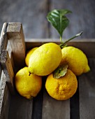 Lemons with leaves in a crate on a wooden surface