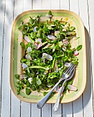 Broccoli and spinach salad with radishes and peas