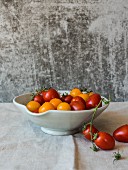 Maine Grown Tomatoes in a Bowl; Black Cherry, Sun Golds, Yellow Pear and Cherry; From Above