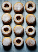 Various doughnuts with icing sugar (seen from above)