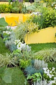 Straight narrow beds of foliage plants crossing a lawn