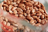 Dried organic pinto beans in a measuring jug (close-up)