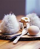 Boiled eggs with egg cosies on rustic wooden board