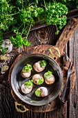 Snails with garlic butter and parsley