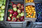 Äpfel, Quitten, Pflaumen, Obst im Tauschklub 'foodXchange' in der Markthalle IX, Berlin, Deutschland