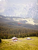 Hubschrauber versorgt eine Alm, Berner Oberland, Schweiz