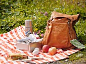 A picnic in the Bernese Oberland, Switzerland