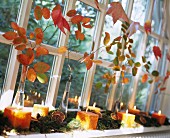 Autumn arrangement of moss, cubic candles and branches of colourful leaves on windowsill