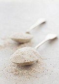 Rye flour on spoons
