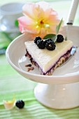 Crumbly cheesecake with a blackcurrant base and Bavarian cream