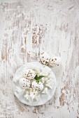 Speckled Easter eggs and white flowers on plate