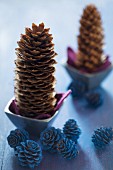 Pine cones in tiny bowls and larch cones painted blue