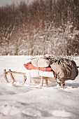 Mit Decken und Rucksack bepackter Schlitten in Winterlandschaft