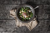 Rocket salad with goat's cheese and crispy meal worms