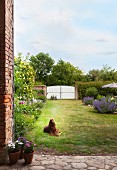 Dog lying on lawn in large, rustic garden with white gate