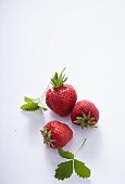 Three strawberries with leaves