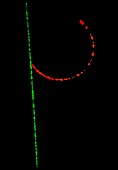 Cosmic ray muon: cloud chamber image