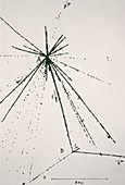 Emulsion photo of birth/ death of hypernucleus